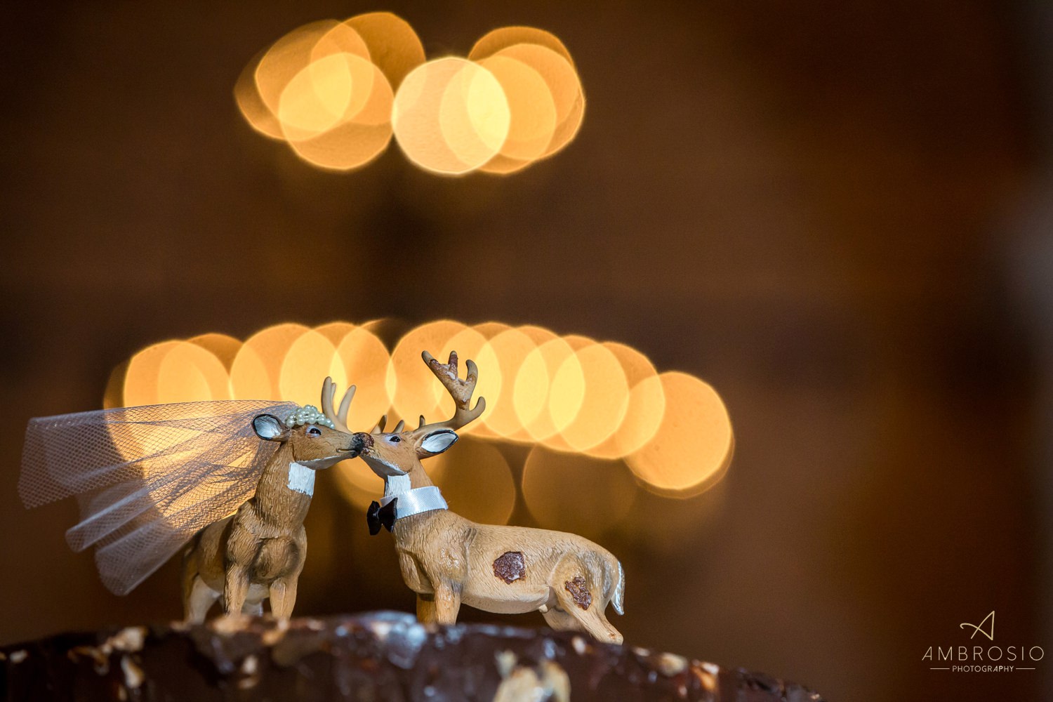 Henry Morrison Flagler Museum wedding ambrosio photography