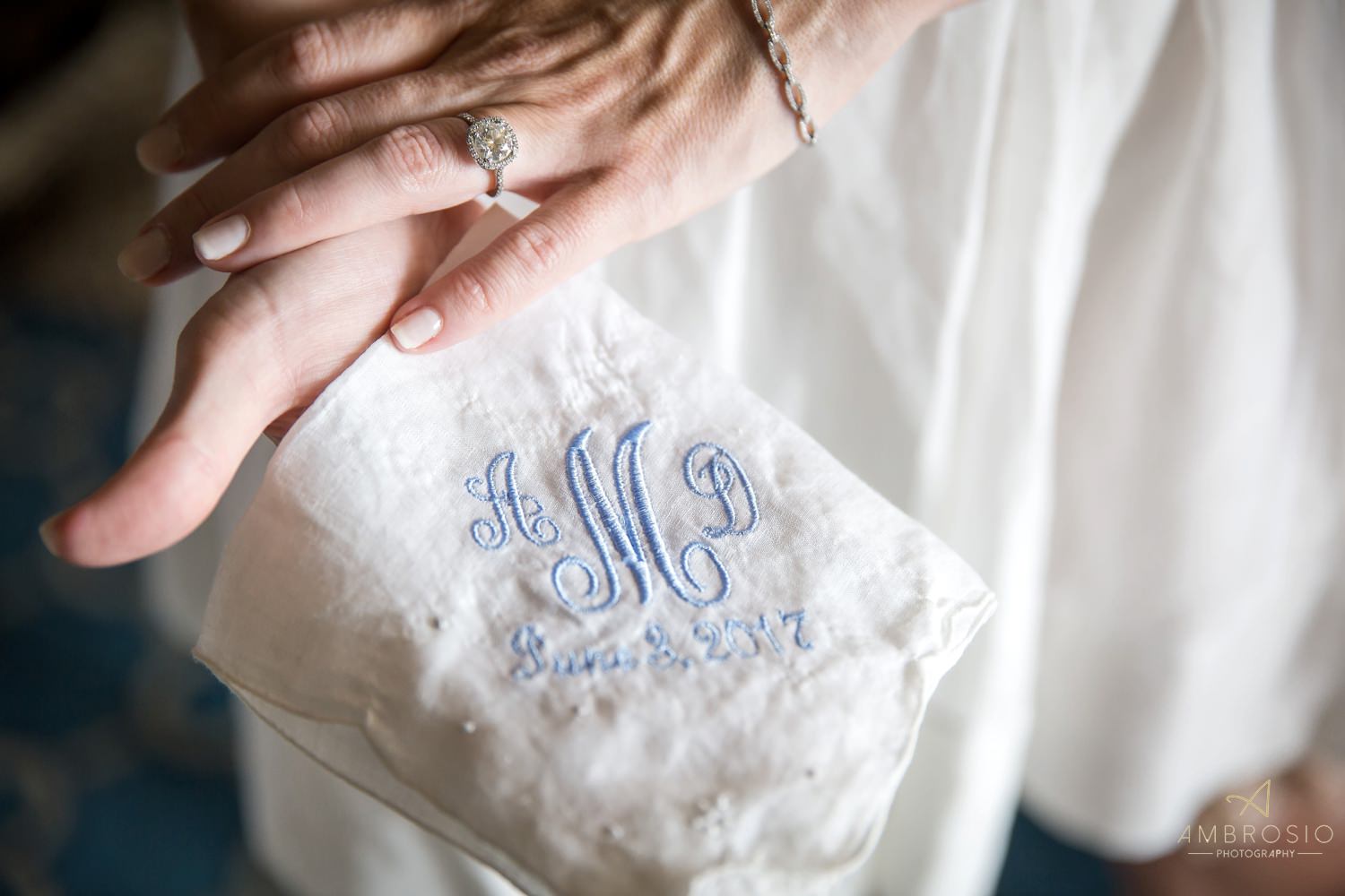 Henry Morrison Flagler Museum wedding ambrosio photography