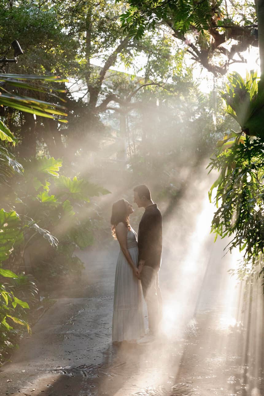 Couple holding hands and gazing at each other in a lush, sunlit forest with mist and dappled sunlight.