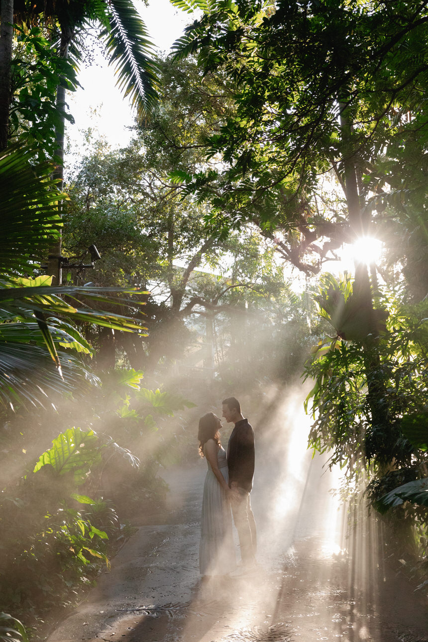 Light Filtering Through Trees During Fairchild Tropical Botanic Garden Engagement Photoshoot